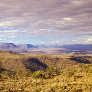 Speelman hails from South Africa's East Cape province.