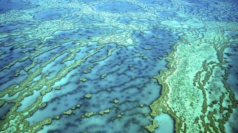 Aerial view of Great Barrier Reef