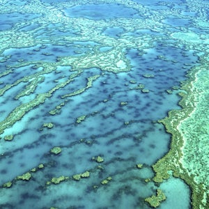 Aerial view of Great Barrier Reef