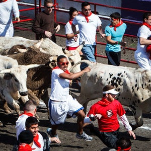 Runners try to stay ahead of the bulls during the Great Bull Run at Royal Purple Raceway, Saturday, Jan. 25, 2014, in Baytown, Texas.