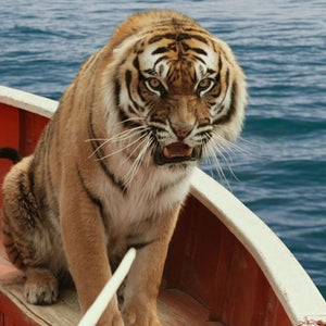 hollywood reporter animals were harmed american human association aha abuse deaths cover up