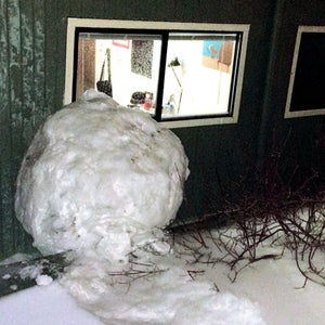 Reed Colelge Snowball