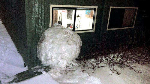 Reed Colelge Snowball