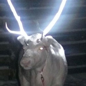 OutsideOnline The Race Report