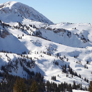 Four snowboarders and a Utah nonprofit have sued Alta Ski Area over the resort's skiers-only policy.