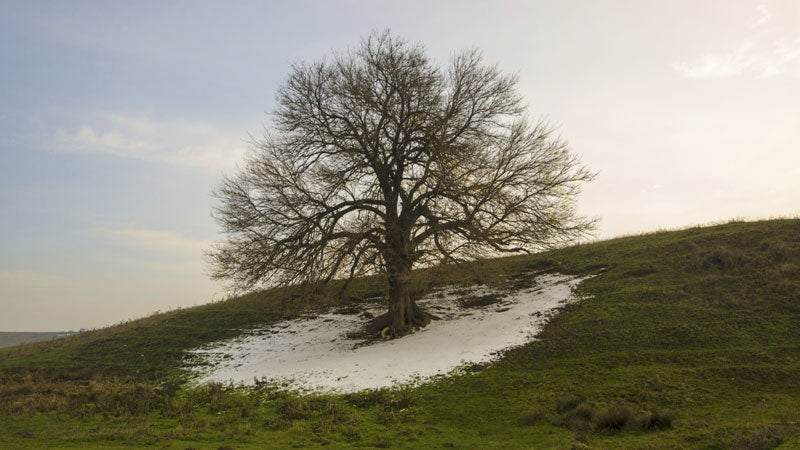 If climate change continues, how long will we be able to enjoy winter sports?