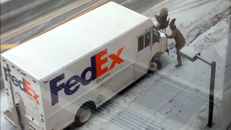 UPS Driver Turkey FedEx