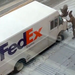 UPS Driver Turkey FedEx