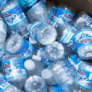 blanford butteflies butterfly center flight hunger kfb kids food basket nature release takes