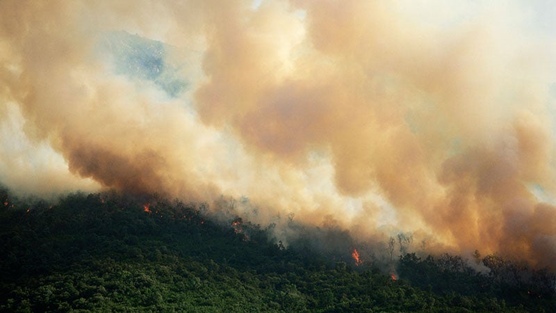 Smoke from forest fire