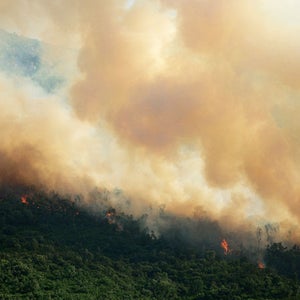 Smoke from forest fire