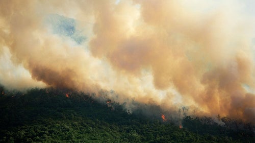 Smoke from forest fire