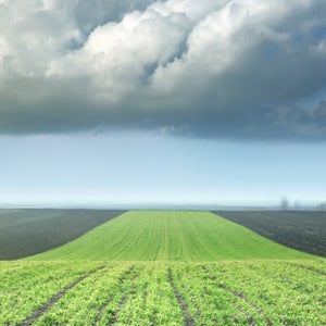 OutsideOnline big agriculture twelve changes footprint carbon clear up farm crop horizon