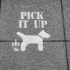 Outside Magazine News