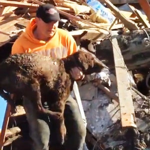 Mudslide dog rescue OutsideOnline News