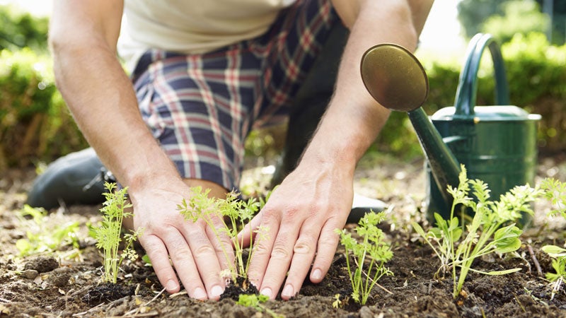 Gardening: It's more than just getting your hands dirty.