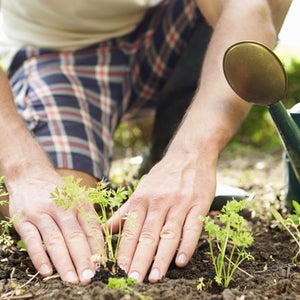 Gardening: It's more than just getting your hands dirty.