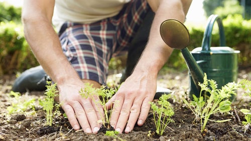 Gardening: It's more than just getting your hands dirty.