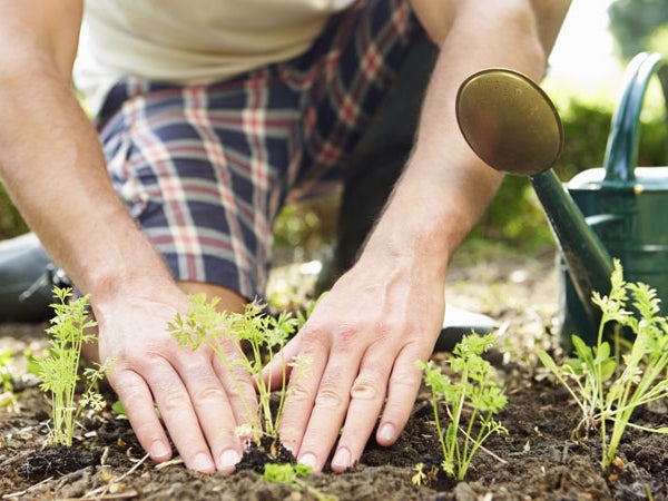 Gardening: It's more than just getting your hands dirty.