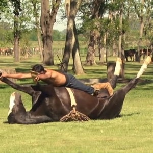 OutsideOnline News Horse Yoga Yoga Animals