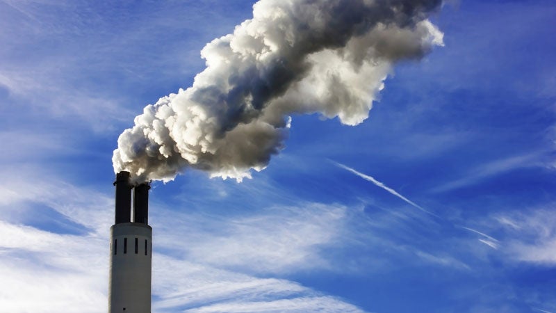 A Greenpeace founder suggested carbon emissions aren't to blame for climate change.