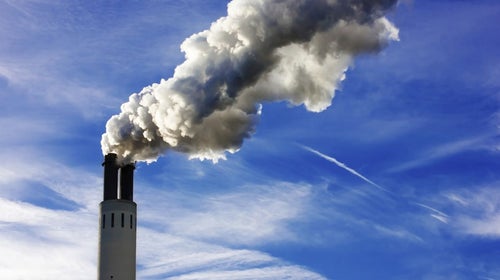 A Greenpeace founder suggested carbon emissions aren't to blame for climate change.