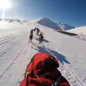 News OutsideOnline Iditarod