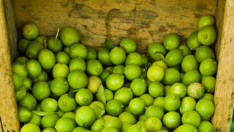 Food citrus crate famers market farmers fruit juice juicy lime limes market organic wood