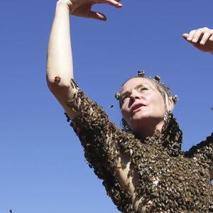 OutsideOnline bee beekeeper Portland queen dance honeybees thousands blouse