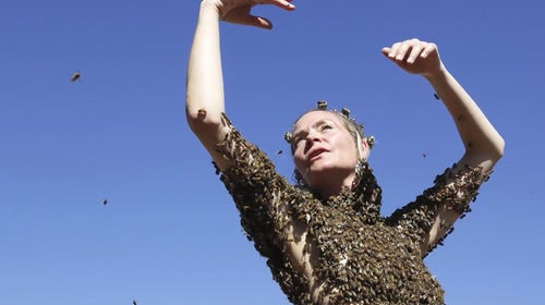 ԹϺOnline bee beekeeper Portland queen dance honeybees thousands blouse