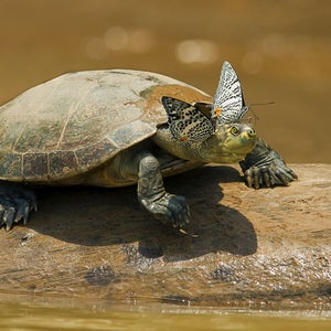 News Outside Magazine Biodiversity