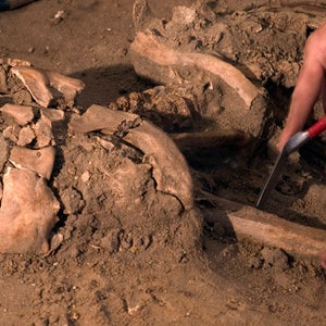 Salt Lake City Human Skull Archaeology News OutsideOnline