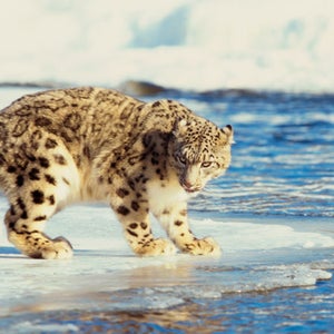 Outside Magazine News