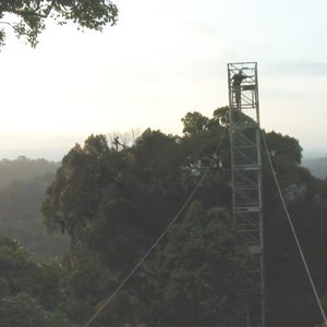 Soundscapes recording app science news OutsideOnline