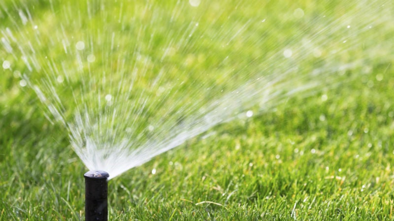 Watering your lawn on prohibited days in Sacramento could result in a fine.