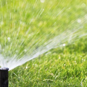 Watering your lawn on prohibited days in Sacramento could result in a fine.