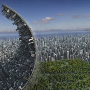 A new study shows that the poor guy living in the woods might be happier than the CEO living in a green-free city. University of Wisconsin, tree canopy, tree cover, Outside Magazine, Outside Online, green spaces, greenification, depression, anxiety, correlation