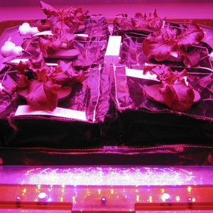 OutsideOnline space Veggie grow International Space Station Dragon SpaceX resupply