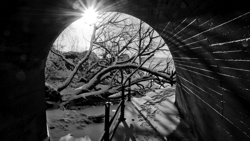 ԹϺOnline Duluth Minn. Minnesota Rudy Hummel slept outside 365 consecutive days sleep outdoors triangular tree platfrom treehouse night three hundred sixty five stars Best Towns finalist