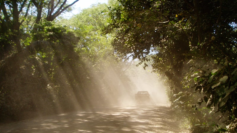 In 1998, Ann Patton and John Bender moved to a remote compound in the jungle of Costa Rica. In their isolation they experienced a downward spiral that ultimately ended in John's death.