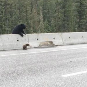 The rescue, as it happened.