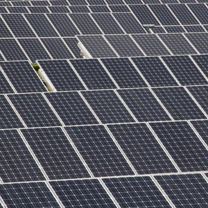 Apple Inc.m Tim Cook Greenpeace solar farms North Carolina