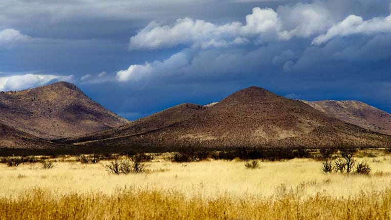 New Mexico's Organ Mountains. The newly protected area features lava flows as well as rare flora and fauna.