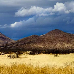 New Mexico's Organ Mountains. The newly protected area features lava flows as well as rare flora and fauna.