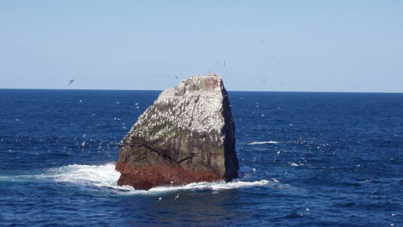 Good thing there are seagulls to keep Nick Hancock company on Rockall--because nobody wants to be lonely.