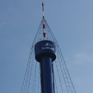 SeaWorld San Diego Skytower Blackfish orcas