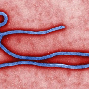 OutsideOnline West Africa combats ebola rap virus Ebola In Town Soundcloud music embed rappers D-12 Shadow Kuzzy of 2 Kings infected dance song killed 188 people region Farm Aid We Are the World group
