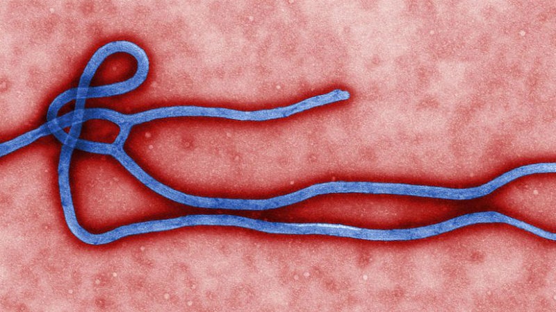 Rap Song Fights Ebola