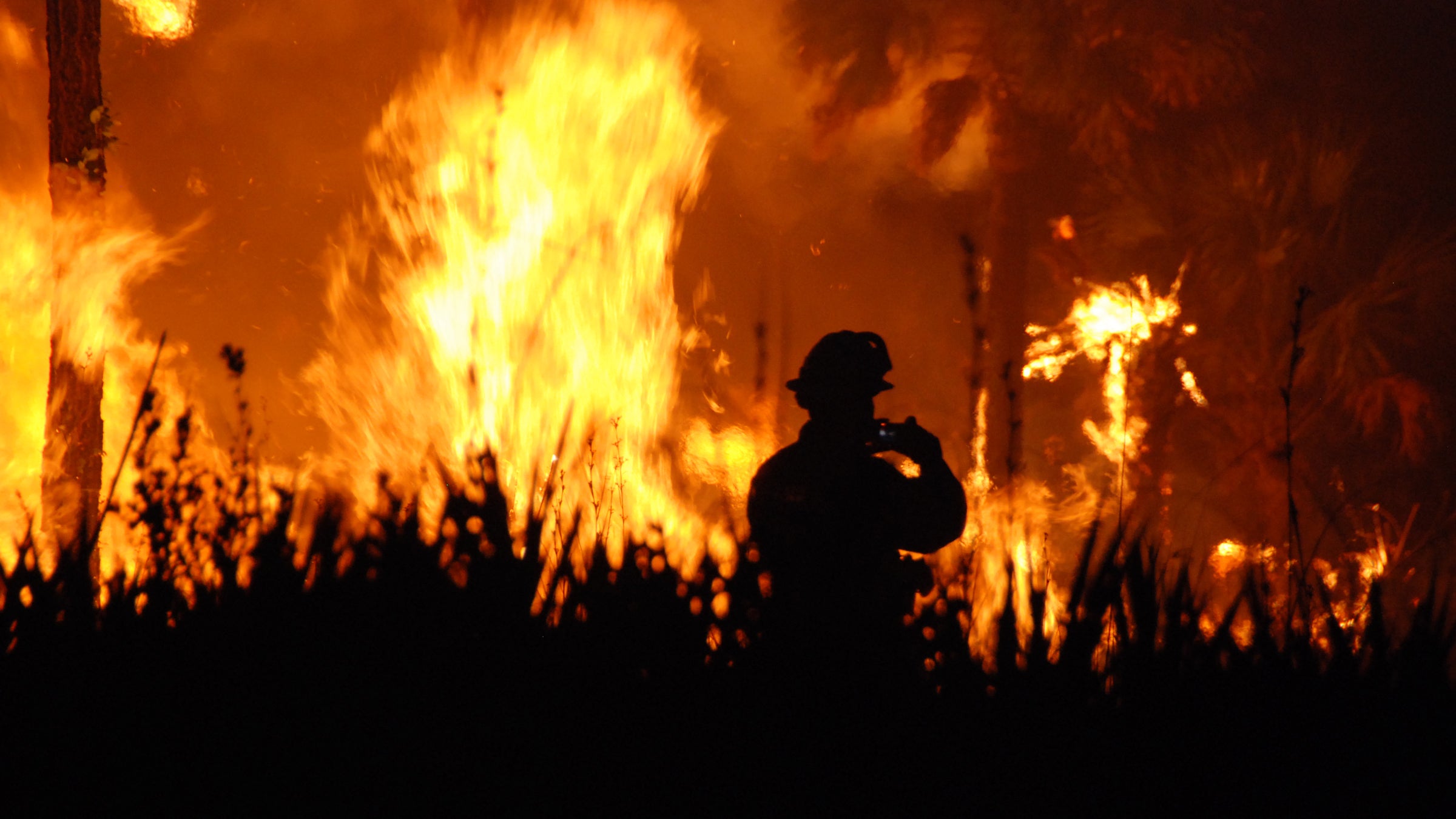 california king fire el dorado siskiyou wildfire firefighting arson wayne allen huntsman