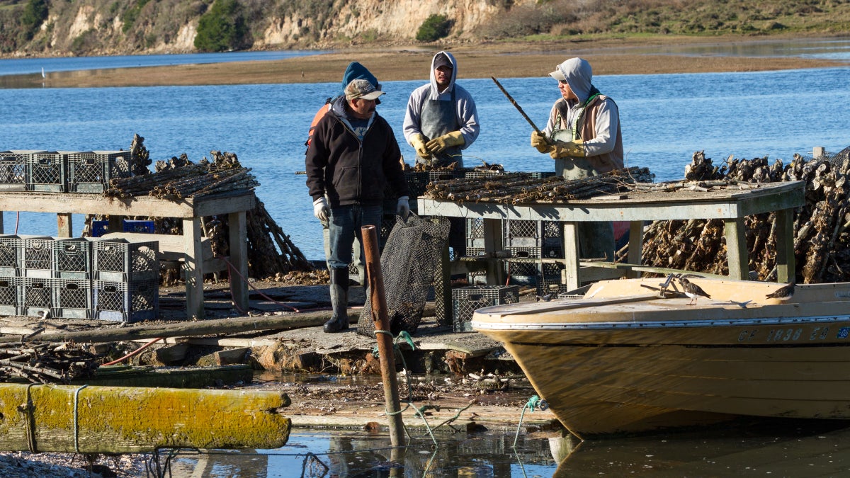 Drakes Bay Oyster Farm Closing